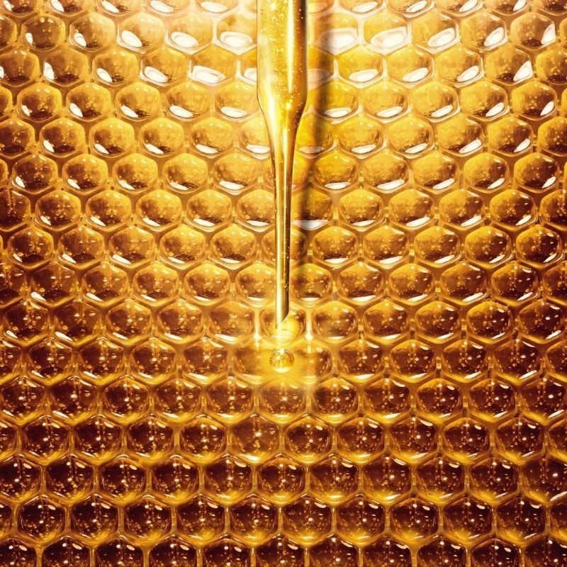World Bee Day 2022: Cecile Lochard, Guerlain’s Chief Sustainability Officer, Tells us How to Help the Bees