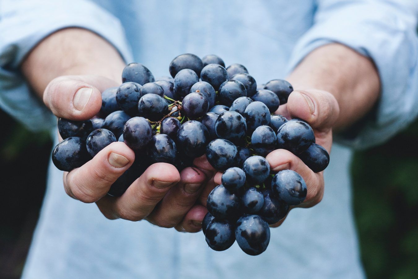 Is Organic Wine Really Better For You Than Regular Wine?