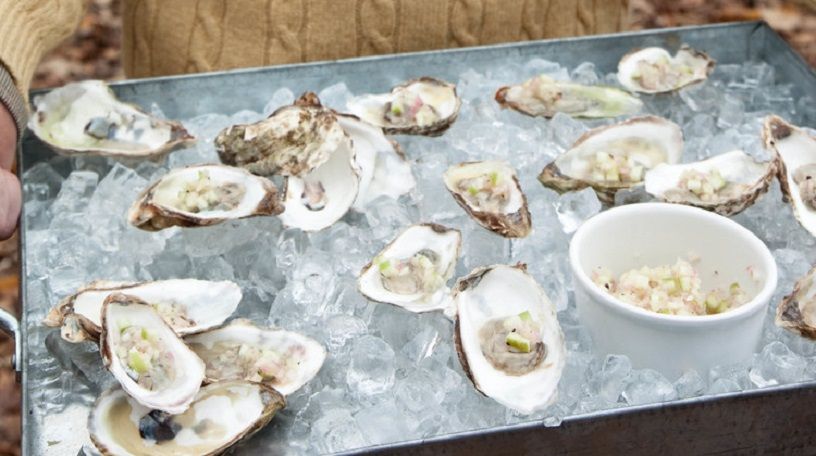 Oyster recipes