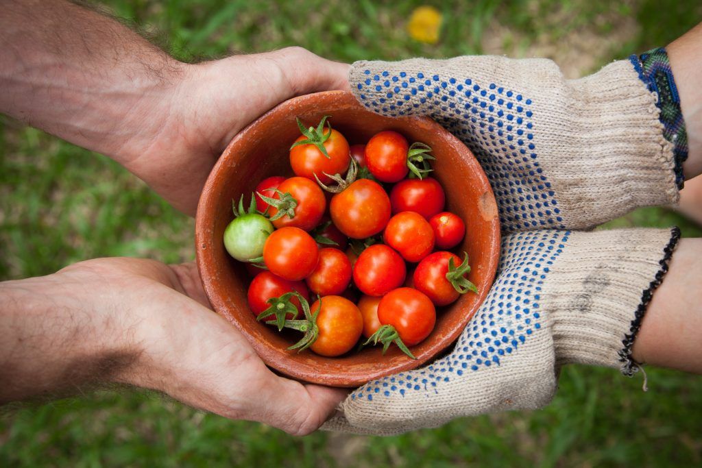 All About Hugelkultur, A Huge Trend in Gardening Right Now