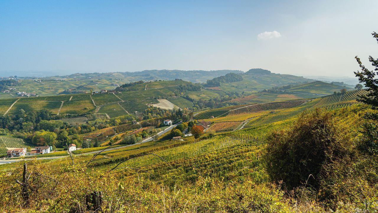 Unlocking The Mysteries of Piedmont: The Best Wineries and Restaurants