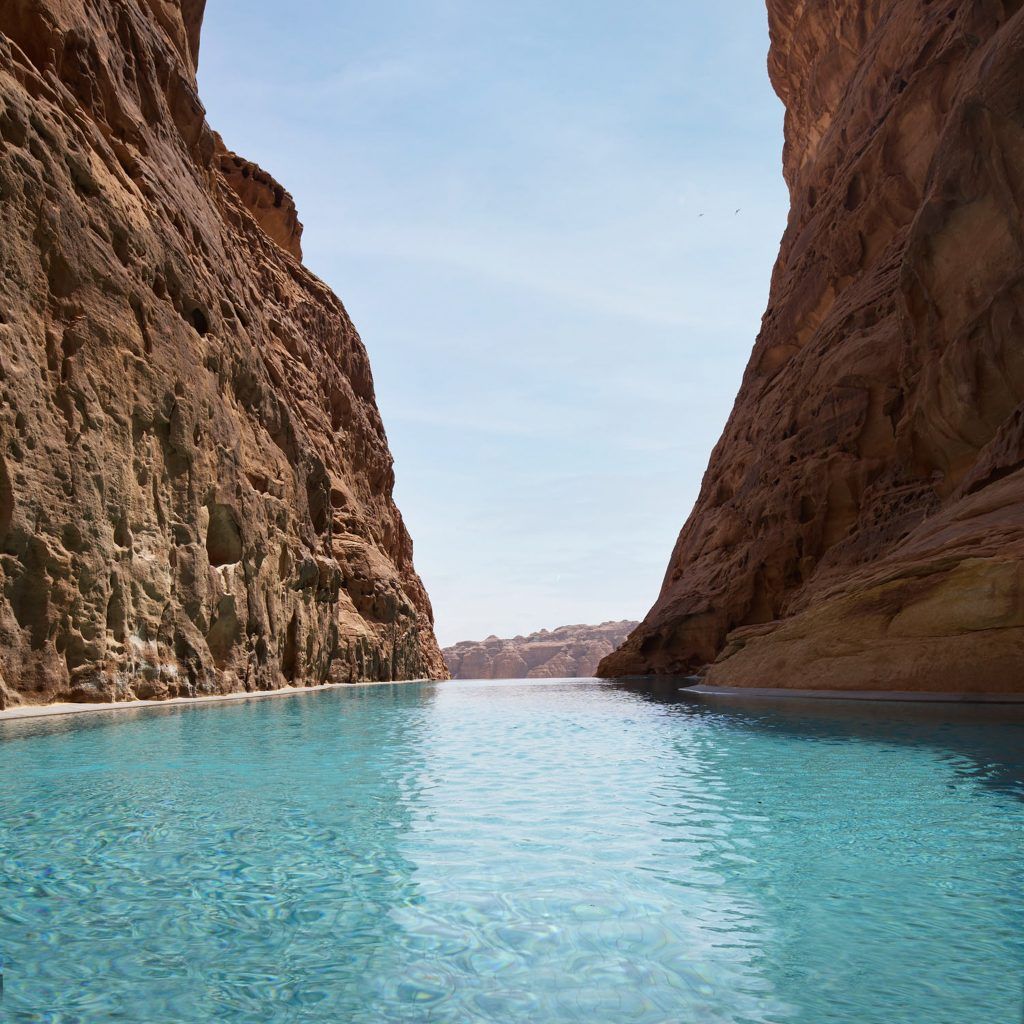 banyan tree alula