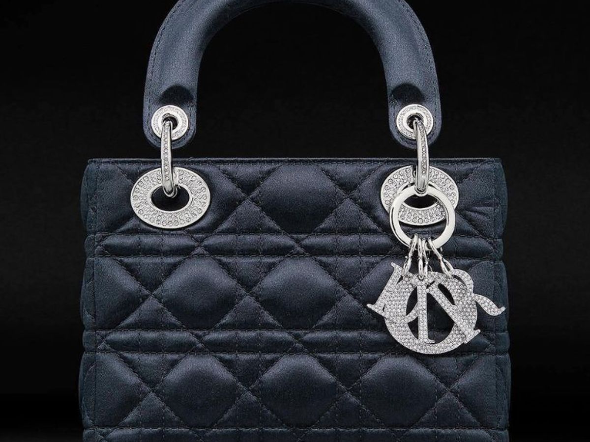 Limited Edition Lady Dior Multicolored Judgment Bag