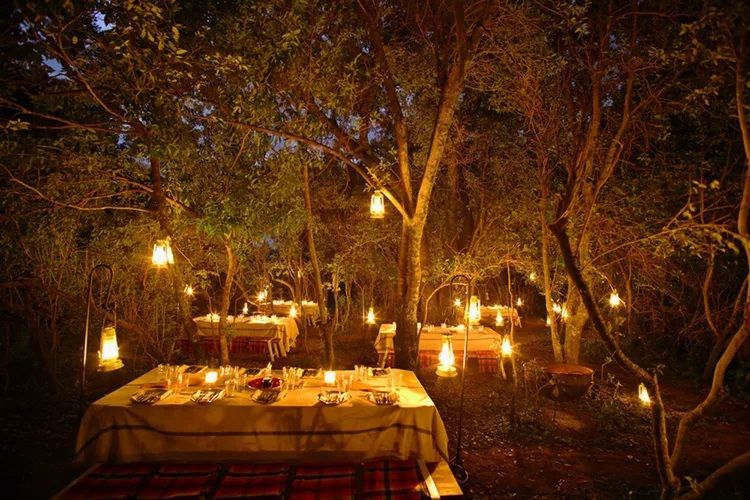 safari in Africa