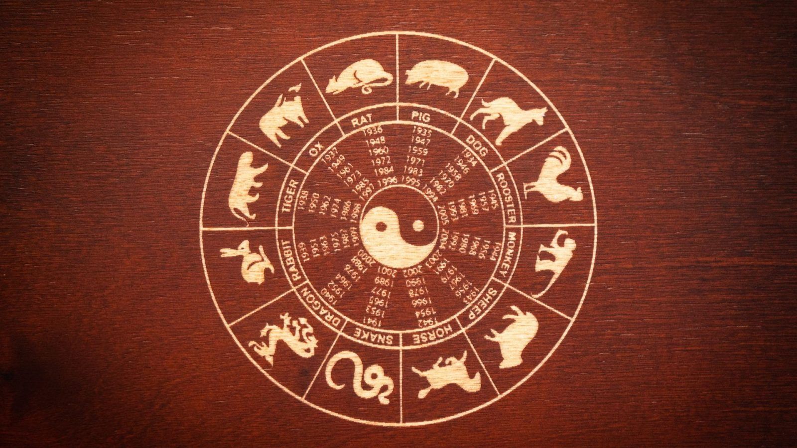 Year Of The Rabbit: Chinese Zodiac Sign Predictions For 2023