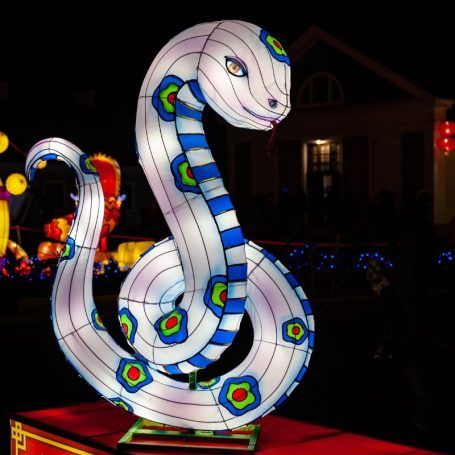un serpent