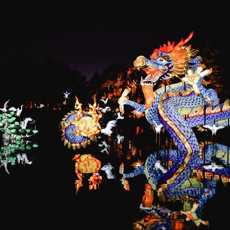 Chinese zodiac signs