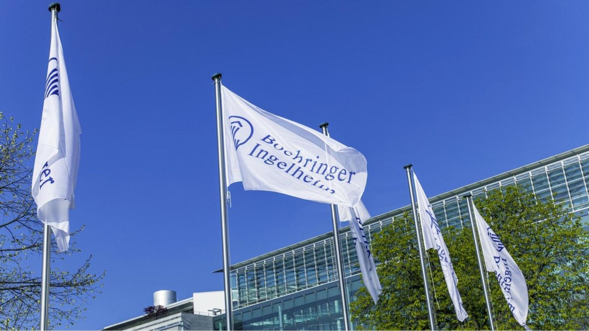 Richest business families- Boehringer family
