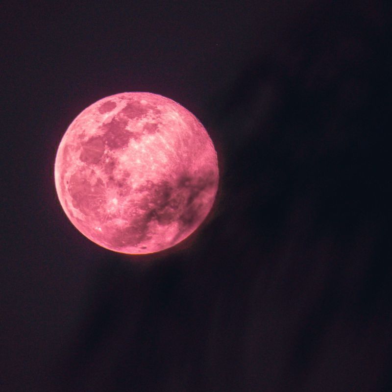 What is the Full Pink Moon 2023 and How Will it Impact all Zodiac Signs?