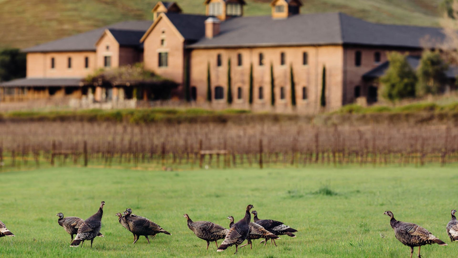 Skywalker Ranch Collapse 10 Most Expensive Celebrity Homes, from Beyoncé to Kardashian