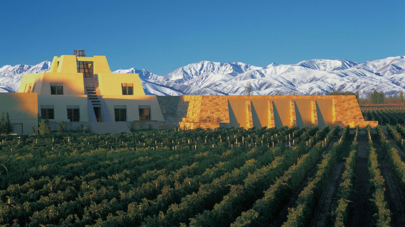 Best Vineyards in the World to Visit in 2023