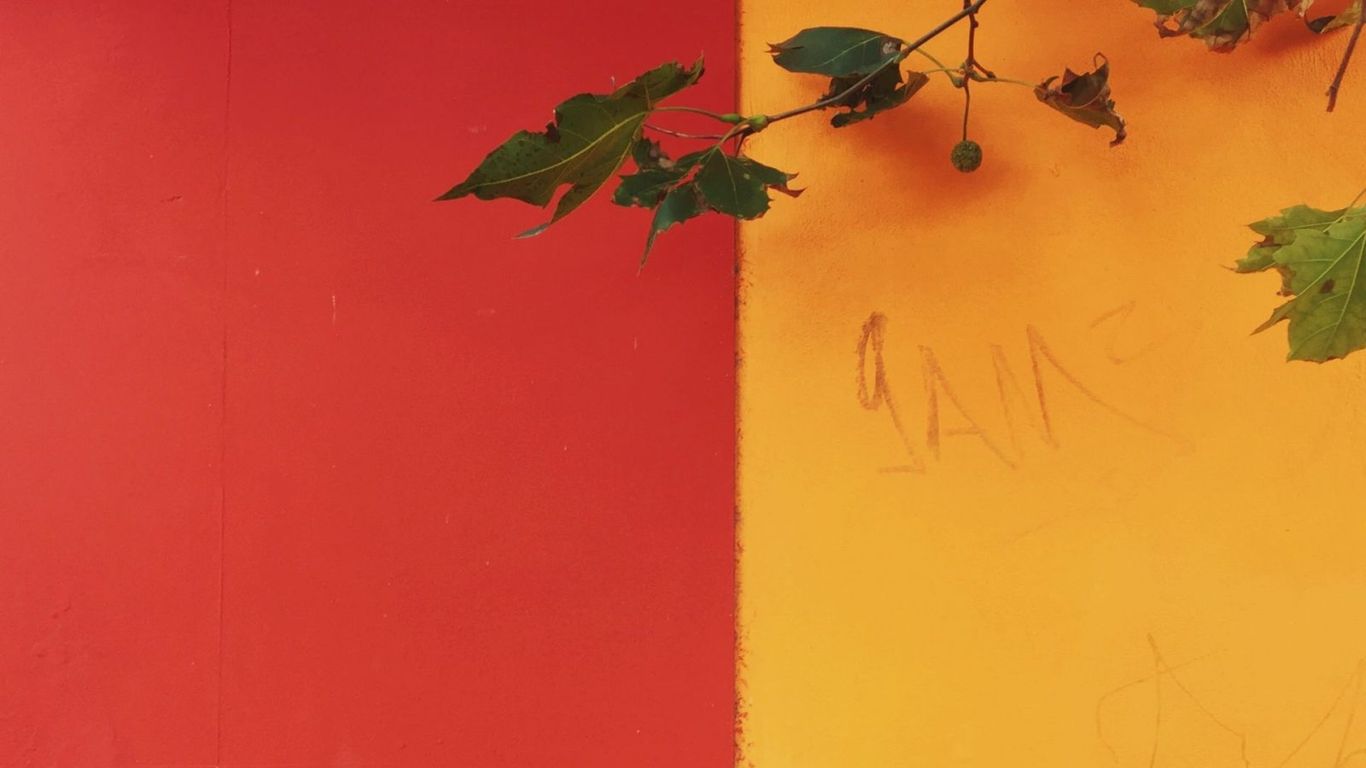 Year of the Dragon with these 3 Lucky Feng Shui Colours