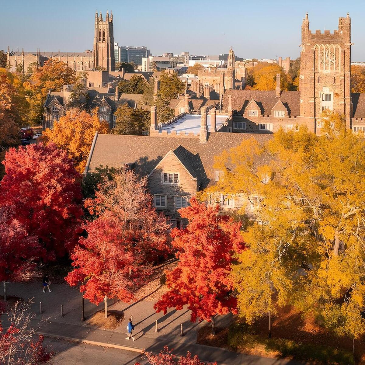 Academic Luxury the Most Expensive Universities in the World