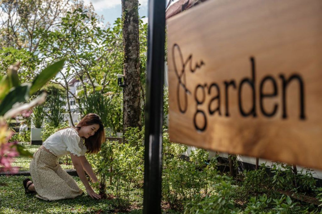 The JW Marriott Khao Lak Celebrates Sustainability with the Launch of ‘JW Garden’