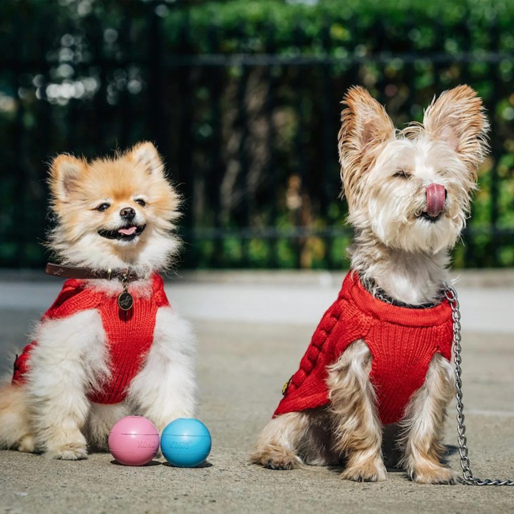 Paws and Panache Pet Accessories