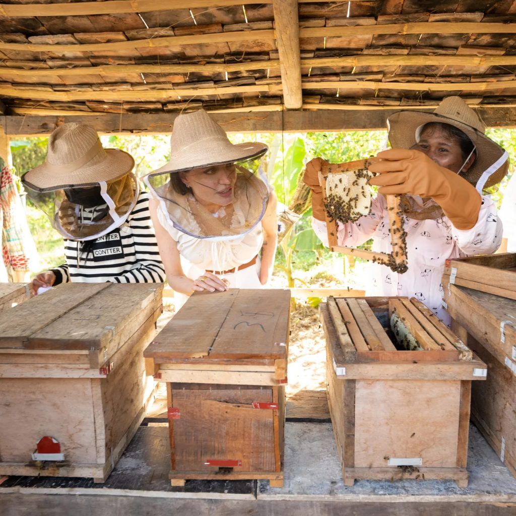 Buzzworthy Bee Keeping with Angelina Jolie in Cambodia