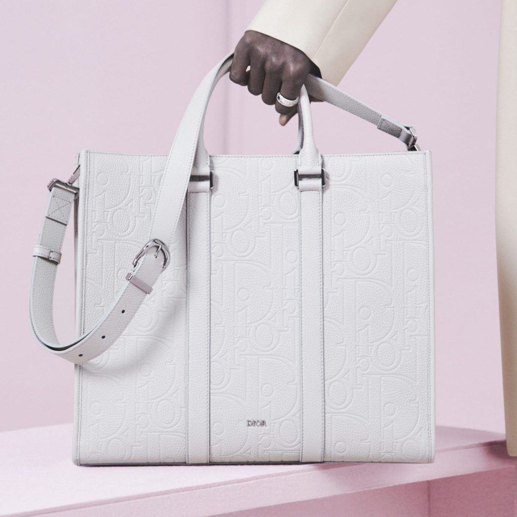 Dior reintroduces the Oblique in Dior Gravity