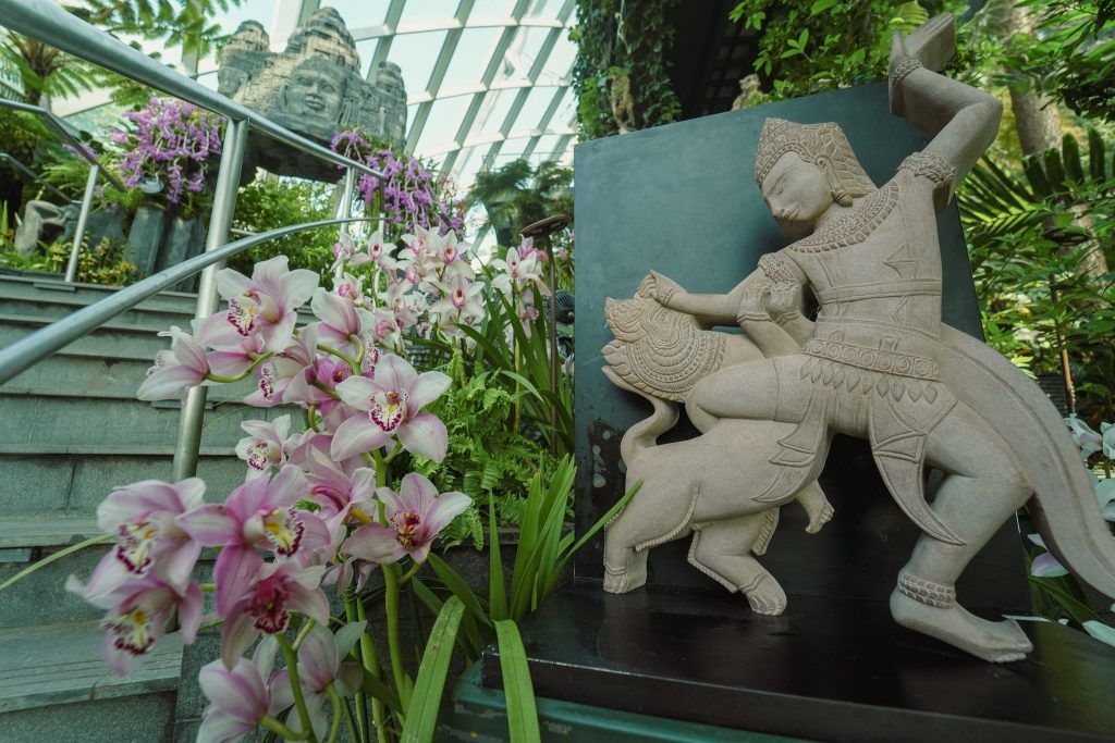 Don’t Miss the Enchanting Orchids of Angkor Wat When You Travel to Singapore