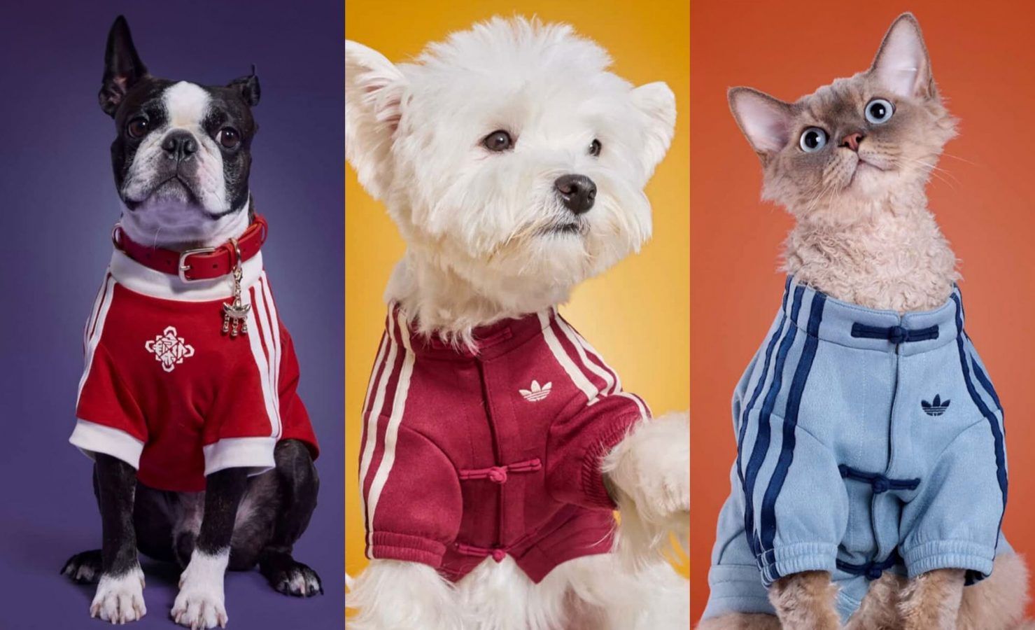 adidas Chinese New Year 2026 ペットウェア 犬服 Adidas drops viral Tang Jacket for pets CNY 2026 – PrestigeOnline