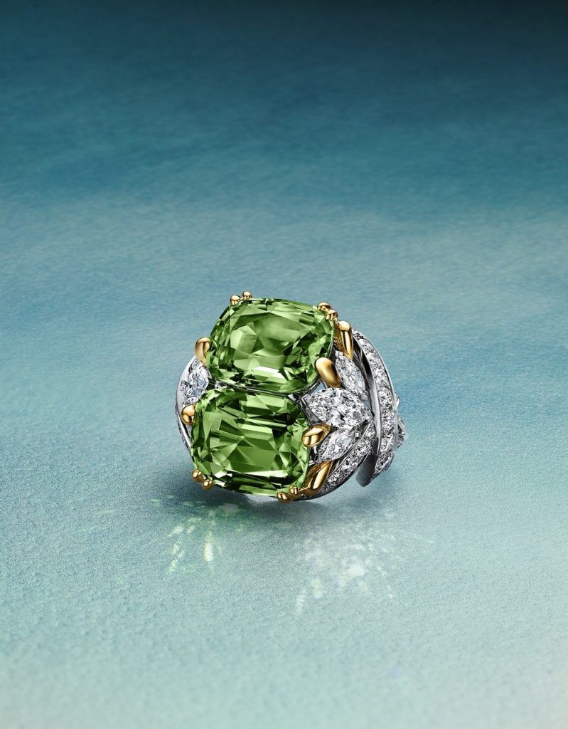 Tiffany & Co.'s Hidden Garden High Jewellery Collection